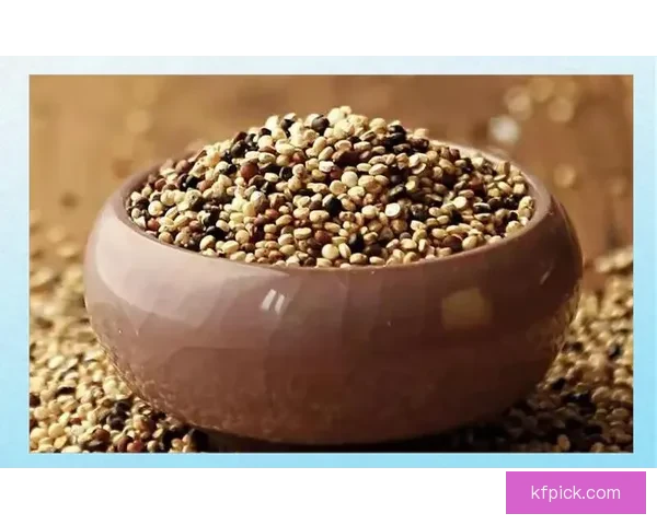 世界杯体育竞猜盘口深度解析与投注技巧全面指南 世界杯体育竞猜盘口深度解析与投注技巧全面指南